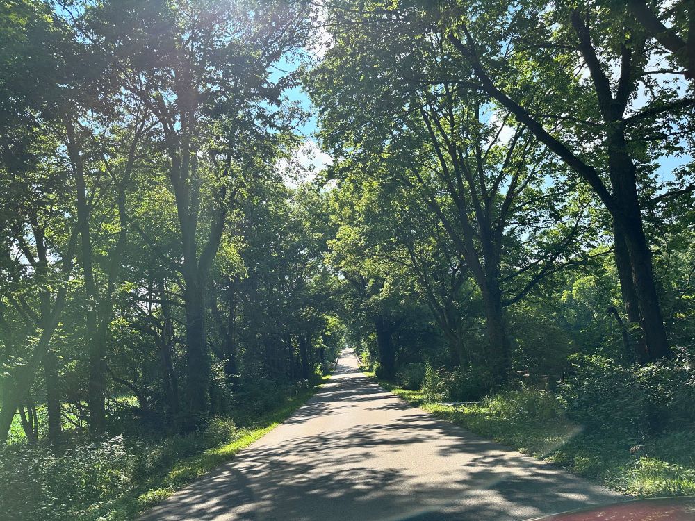 A drive down a tree covered road! I also like to do photography when I find the time! 😄