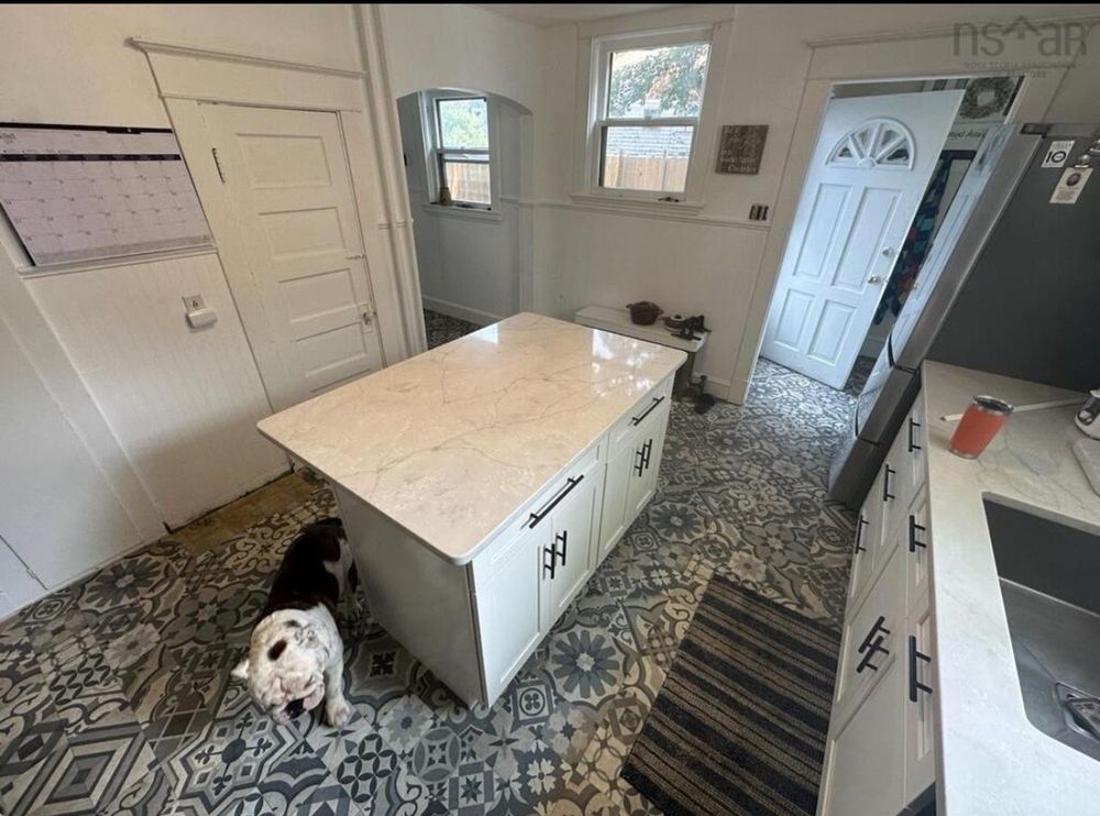 A bull dog in an empty kitchen. 