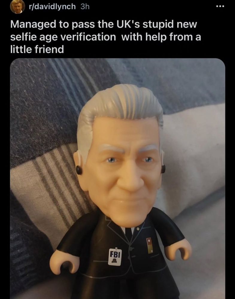 A screengrab of Reddit. The post details someone passing the UK’s age verification screening using an action figure of Gordon from Twin Peaks.