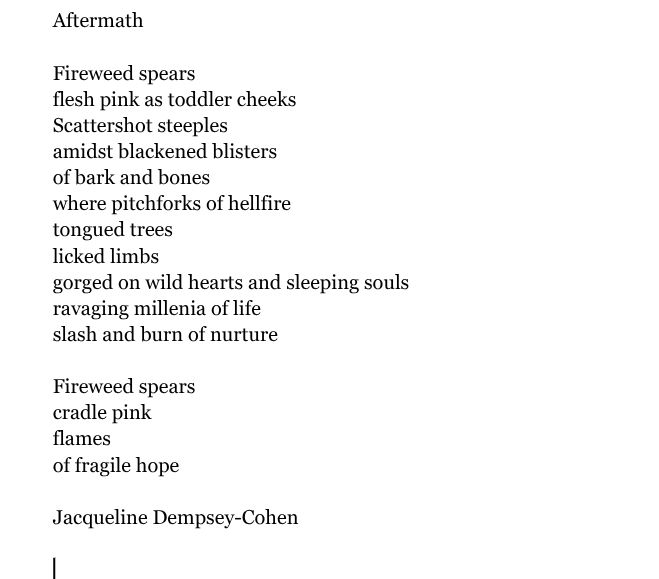 Aftermath

Fireweed spears
flesh pink as toddler cheeks
Scattershot steeples 
amidst blackened blisters
of bark and bones
where pitchforks of hellfire
tongued trees
licked limbs
gorged on wild hearts and sleeping souls
ravaging millenia of life
slash and burn of nurture

Fireweed spears
cradle pink 
flames 
of fragile hope

Jacqueline Dempsey-Cohen

