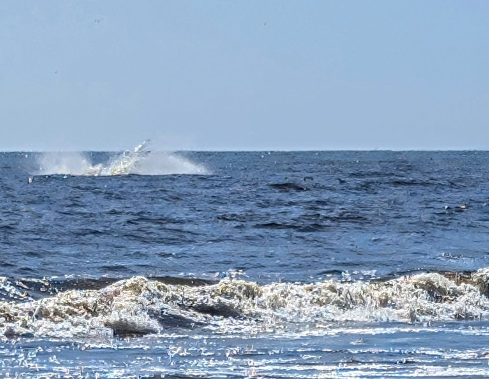 The Pacific Ocean as seen at Sunset State Beach in Santa Cruz County, California. We see beach sand, then fairly heavy surf, and just beyond the break, a large splash in the water. A landmass at the horizon towards the right of the photo can just be seen through the mist.