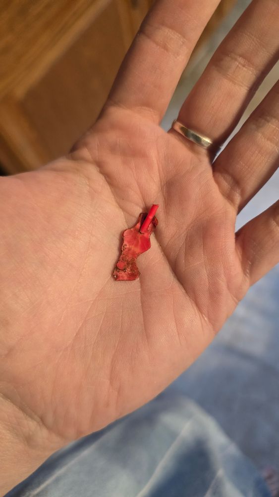 Some weird version of a beet seedling? 