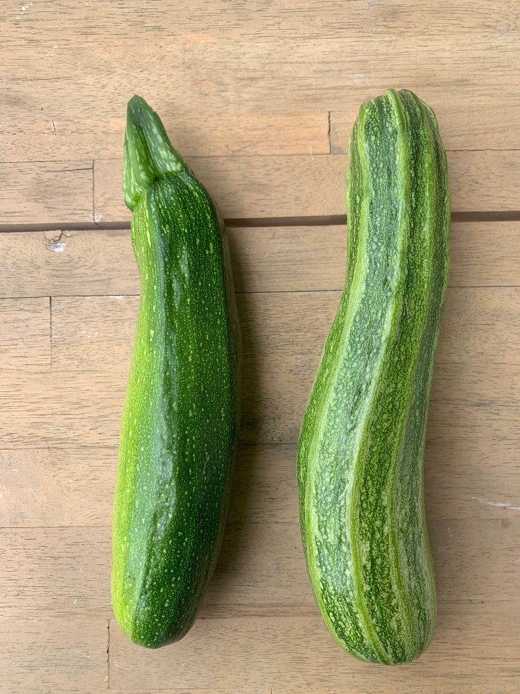 Eine grüne und eine gestreifte Zucchini auf einem Gartentisch aus Holz 