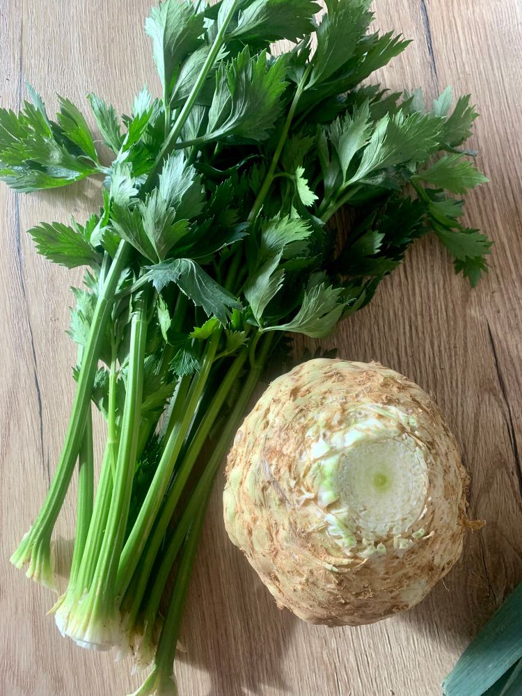 Eine Sellerieknolle. Daneben liegt das abgeschnittene Grün. 