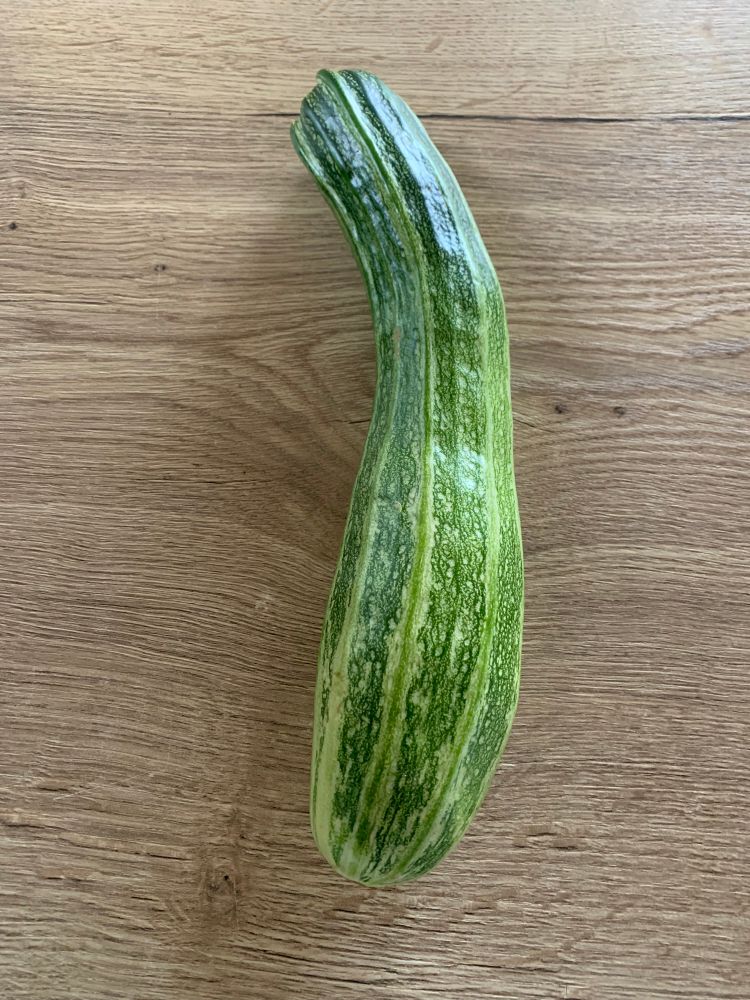 Eine Zucchini mit abgerissener Spitze 