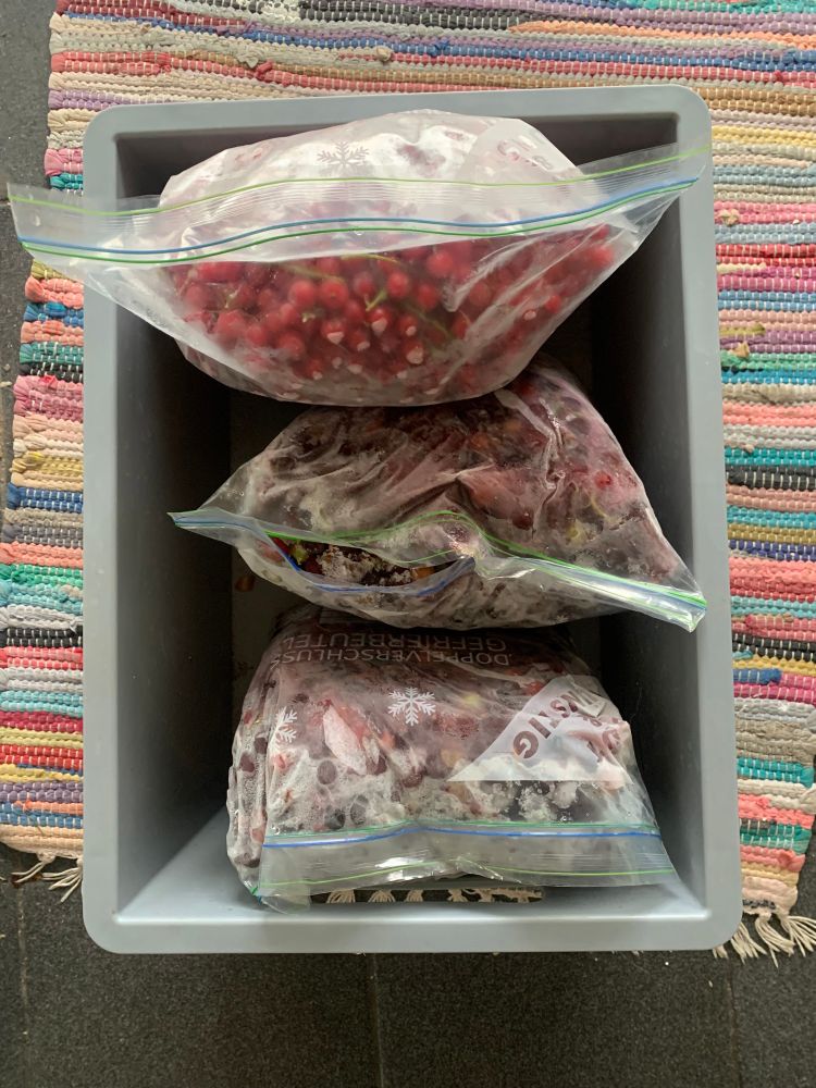 In einer Plastik Kiste sind 3 Gefrierbeutel mit Johannis- und Stachelbeeren. Die Kiste steht auf dem Boden auf einem bunten Flickenteppich. 