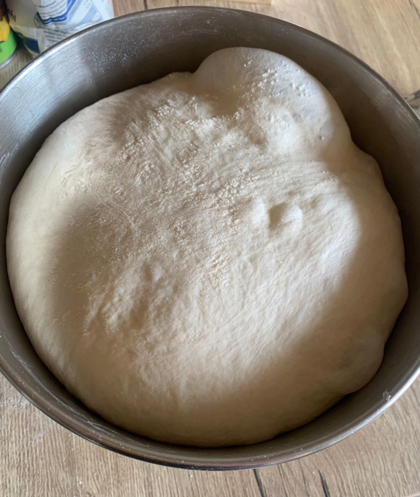 In einer Metallschüssel ist roher Pizzateig. Er macht ein paar Blasen. 