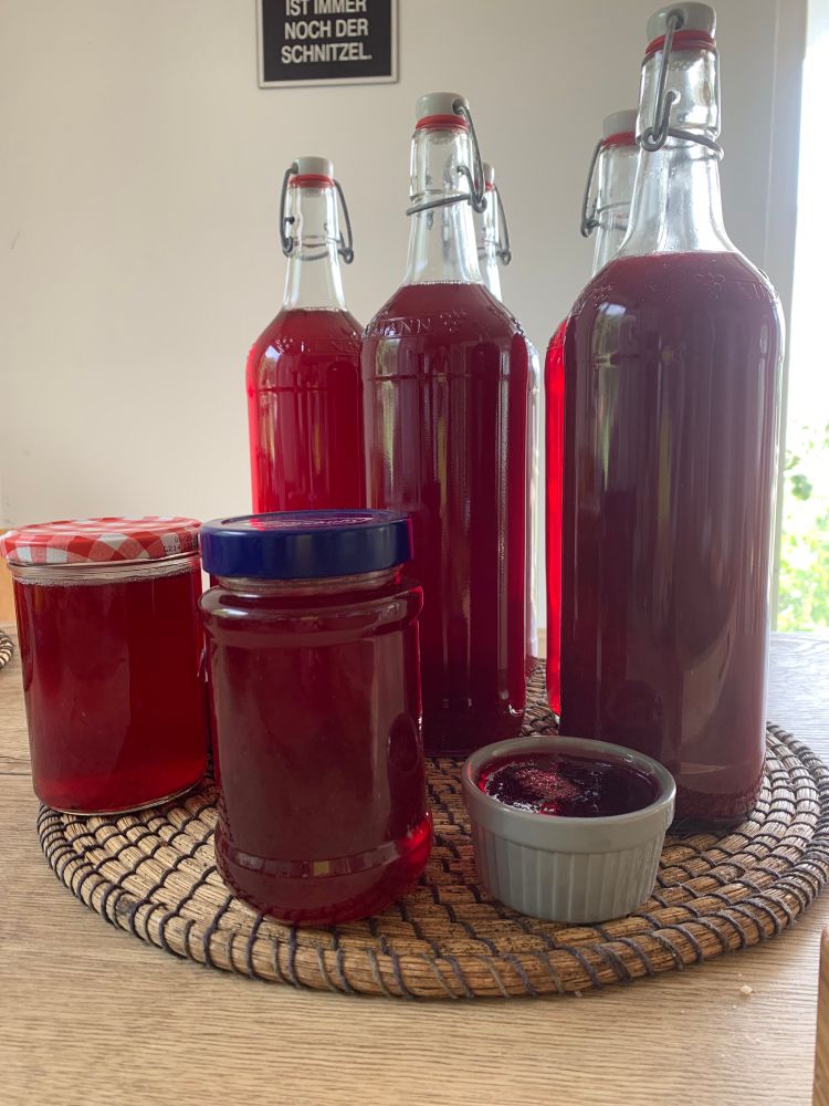 Ein paar Flaschen und Marmeladengläser stehen auf einem Untersetzer. Außerdem ein kleines Schälchen mit Gelee zum gleich probieren. 