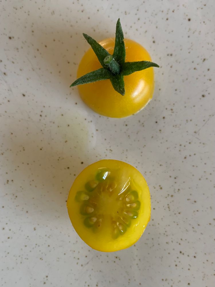 Aufgeschnittene Tomate auf einem Teller 