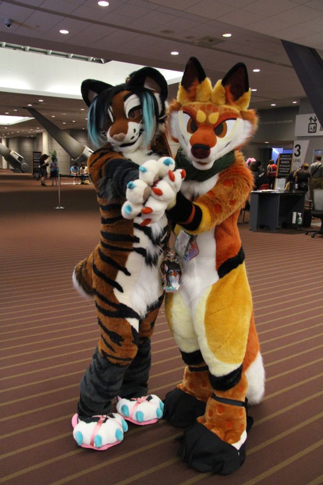 let's put our paws together.
