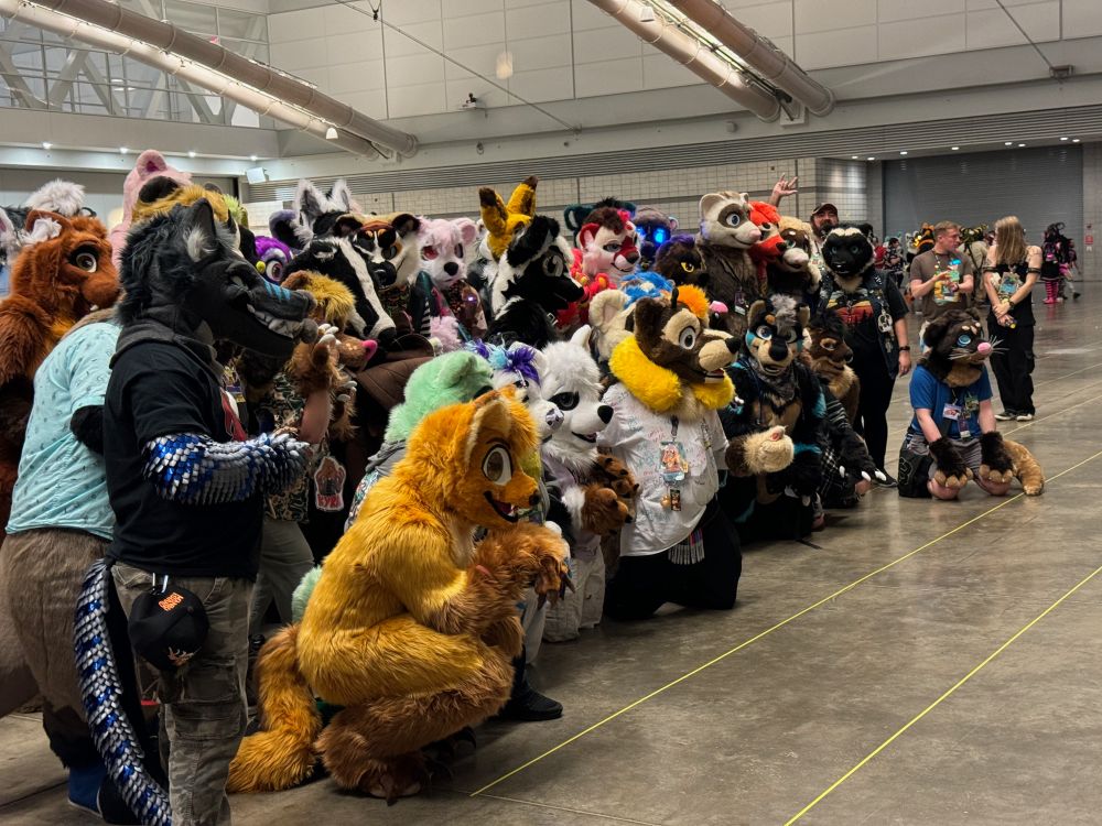 big photo of all the critters and humans who attended the mustelid panel. i'm not mustelidean but the panel hosts requested my presence 👀