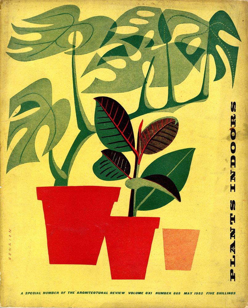 yellow magazine cover with an image of a cheese plant and another green leafy plant in red pots