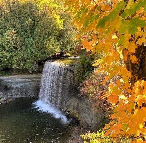 Bridal Veil Falls cascades amid fall colours into the salmon breeding pool at the base.