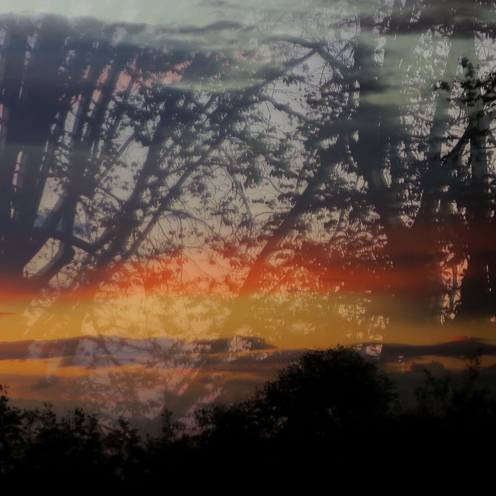 Sunset on my window glass. Overlay of trees, tree reflections and two strips of orange clouds.