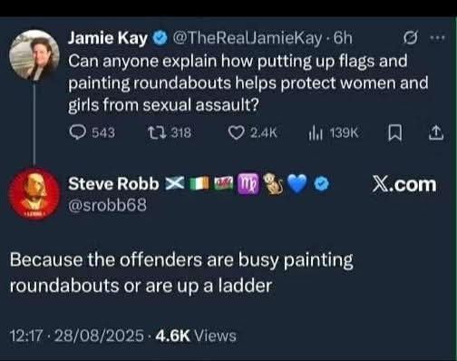 Twitter (for that is its name) posts: Jamie Kay: Can anyone explain how putting up flags and painting roundabouts helps protect women and girls from sexual assault? Steve Robb: Because the offenders are busy painting roundabouts or are up a ladder 