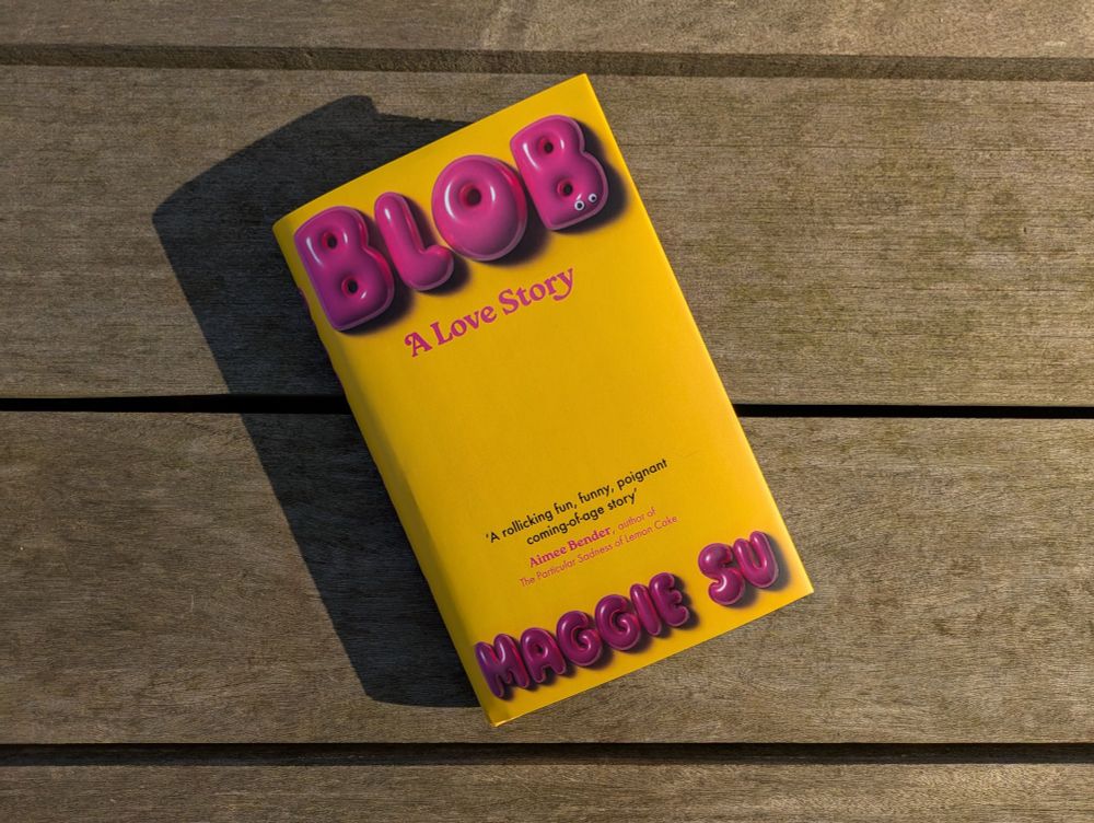 Hardback copy of BLOB sitting on a bench in the sunshine