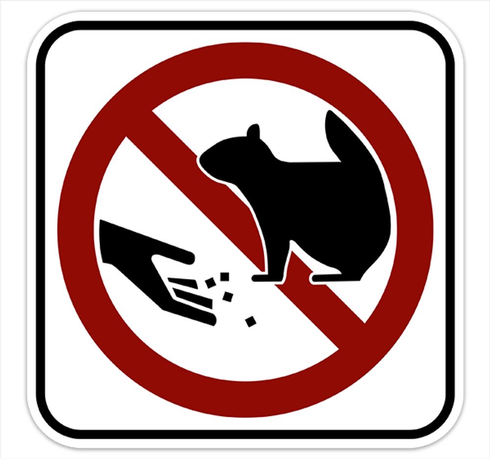 prohibition sign of a hand throwing small things to a squirrel