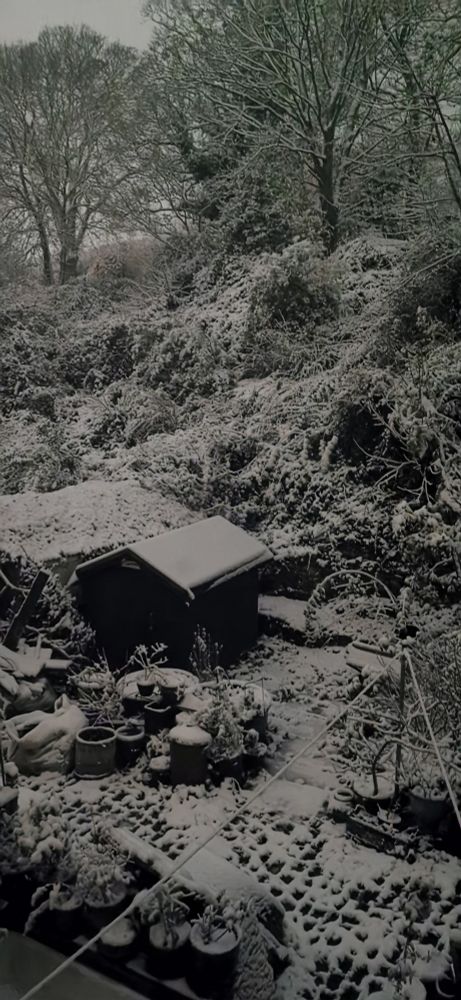 Image shows a garden at night covered in heavy snow