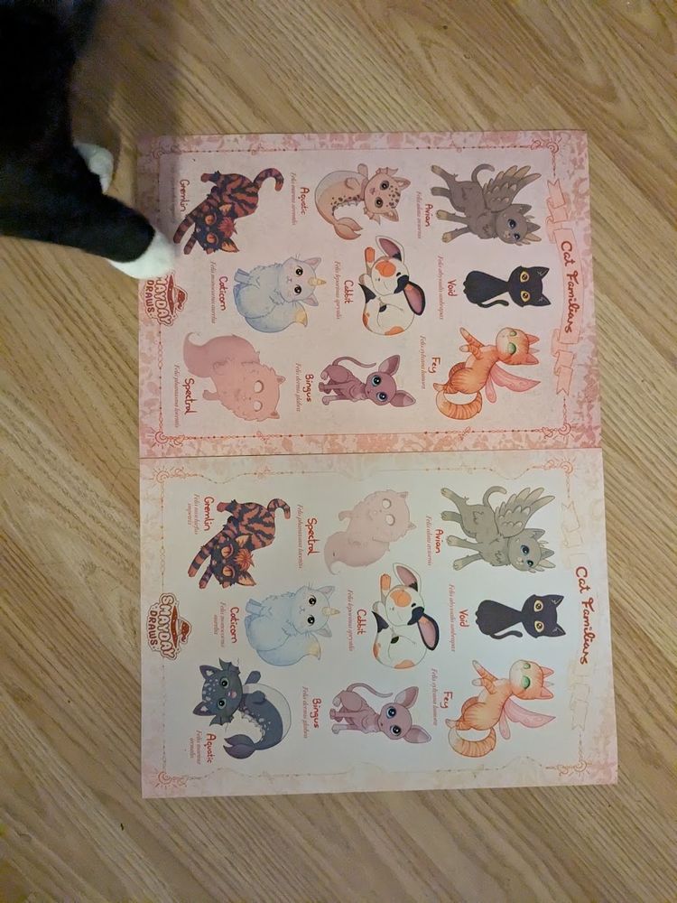 my cat Raven pointing at the art print he likes most.