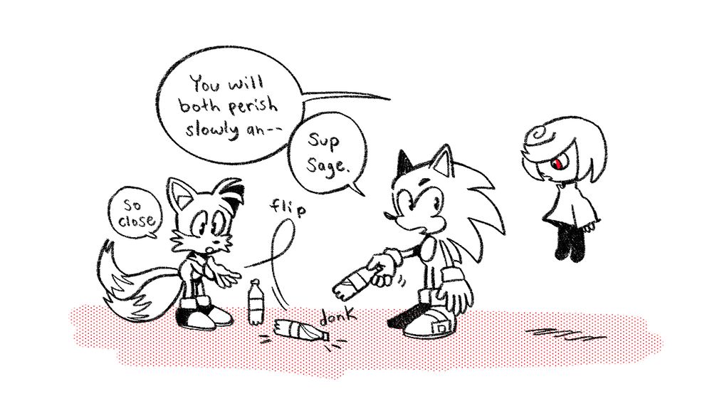 Sage continues, “You will both perish slowly an—“ before seeing Sonic and Tails attempting to flip water bottles.