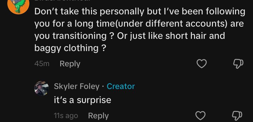 Don't take this personally but l've been following you for a long time(under different accounts) are you transitioning ? Or just like short hair and baggy clothing ?
45m
Reply
Skyler Foley • Creator it's a surprise
11s ago
Reply