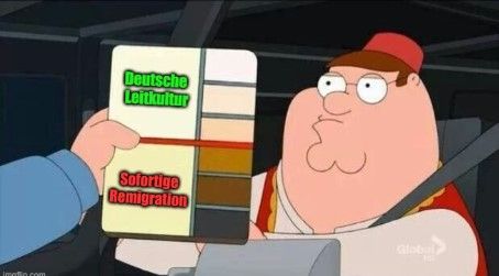 Peter Griffin (Family Guy) im Auto. Eine Hand hält eine Farbkarte mit "Deutsche Leitkultur" bei hellen Hauttönen und "Sofortige Remigration" bei dunkleren Hauttönen neben sein Gesicht