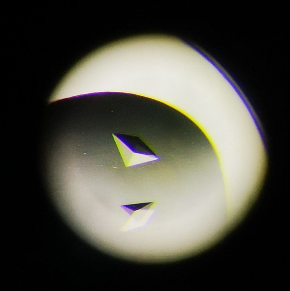 Two beautiful protein crystals shaped like squished pyramids seen in their drop using a light microscope.