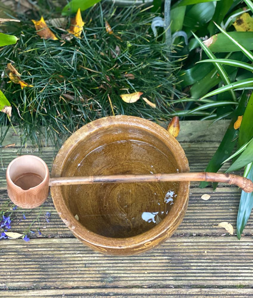 Ladle over water bowl