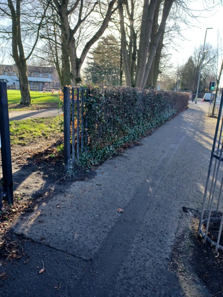 Temporary gate opened for pedestrians into Cherryvale Park, after the extensive damage caused to the front entrance following last week's storm.