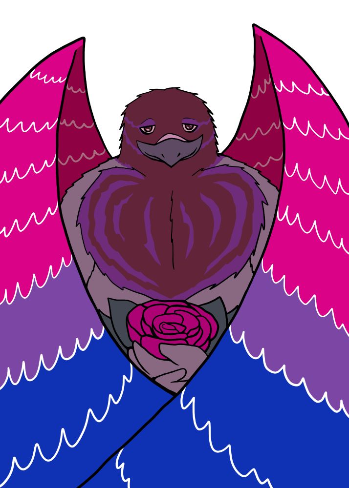 Pigeon with bisexual colored wings holding a rose