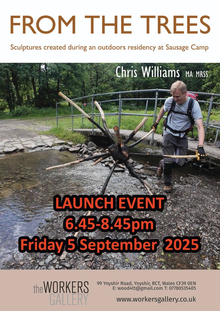 Poster for From The Trees and exhibition of sculptures created during an outdoors residency at Sausage Camp by Chris Williams. Launch event strap line in red. Photo of spikey wood sculpture being rolled through water by Chris in light blue t-shirt and grey trousers.