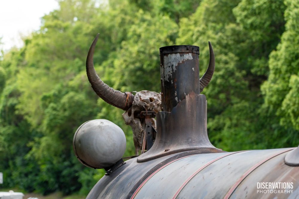 A cattle skull mounted on a locomotive
