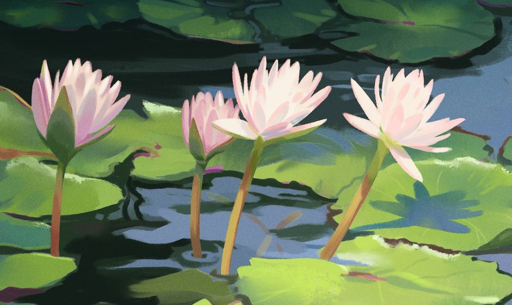 Painting of light pink lotus flowers sprouting above the water. 