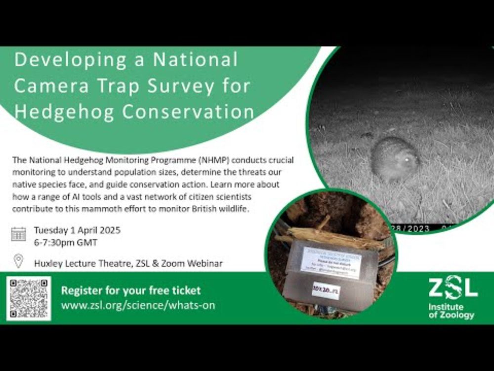 Developing a National Camera Trap Survey for Hedgehog Conservation
