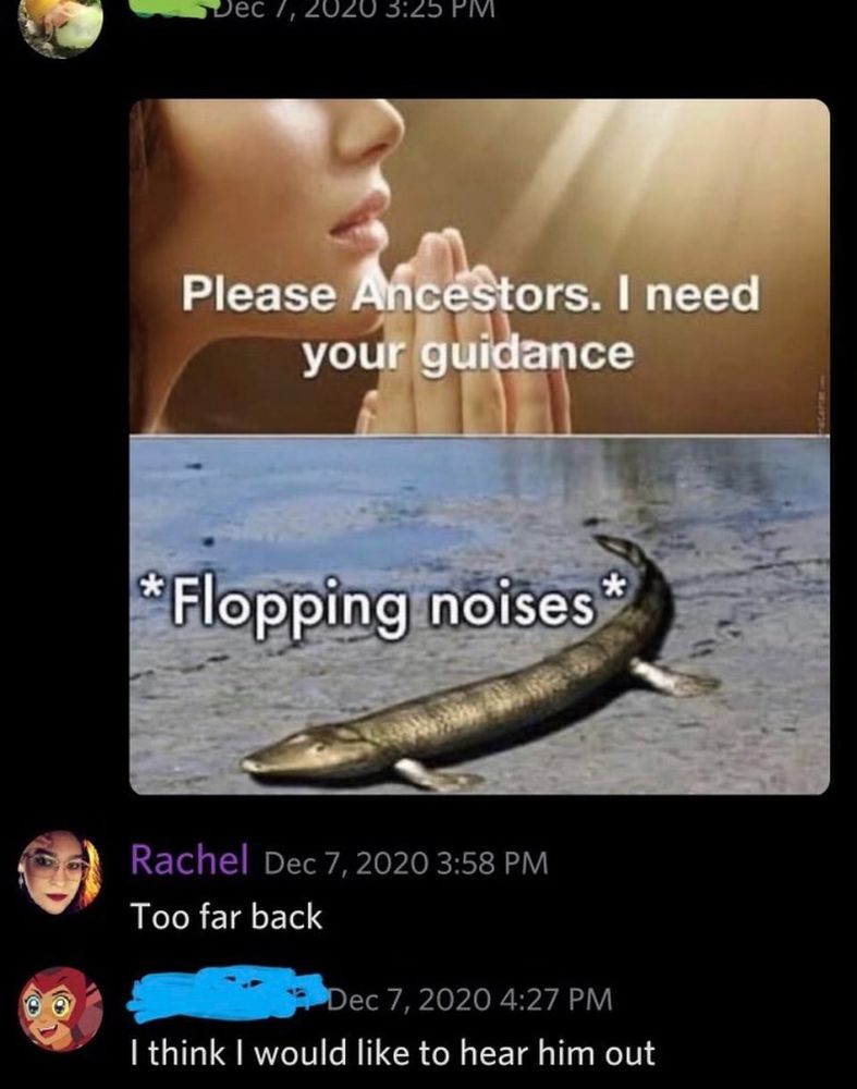 First image: praying woman, "please ancestors, I need your guidance"
Second image: a prehistoric fish, caption "flopping noises"
First comment: Too far back. 
Second comment: I think I would like to hear him out. 