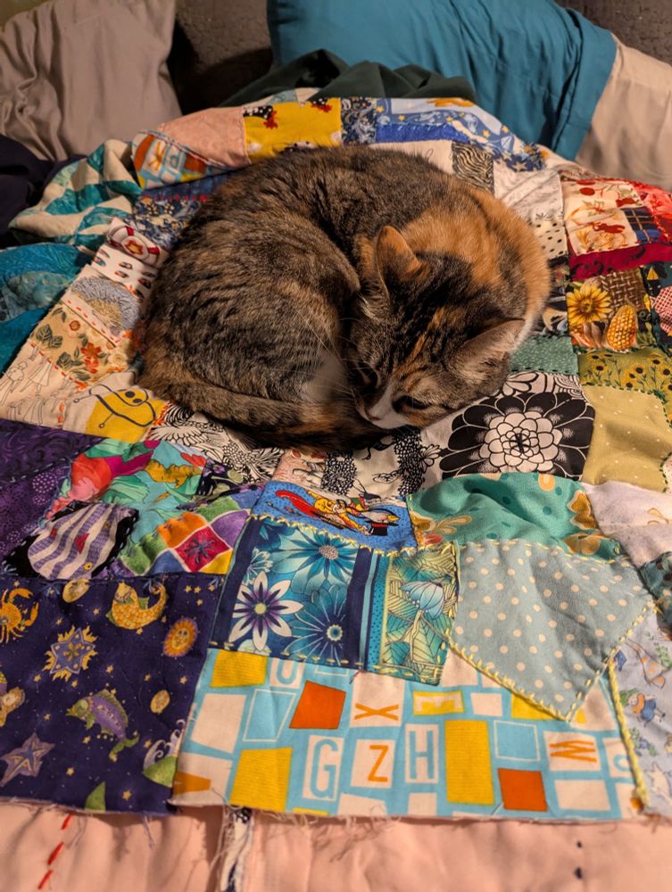 A calico cat curls up on an unfinished crazy quilt 