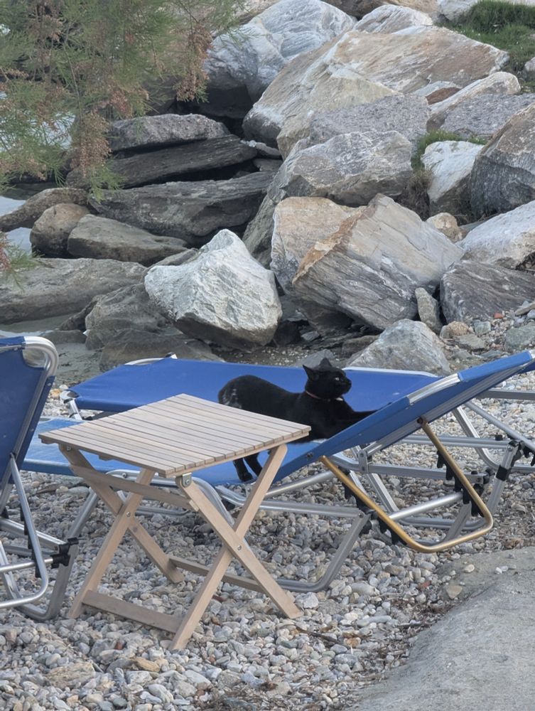 A black cat sits on a blue lounge chair 