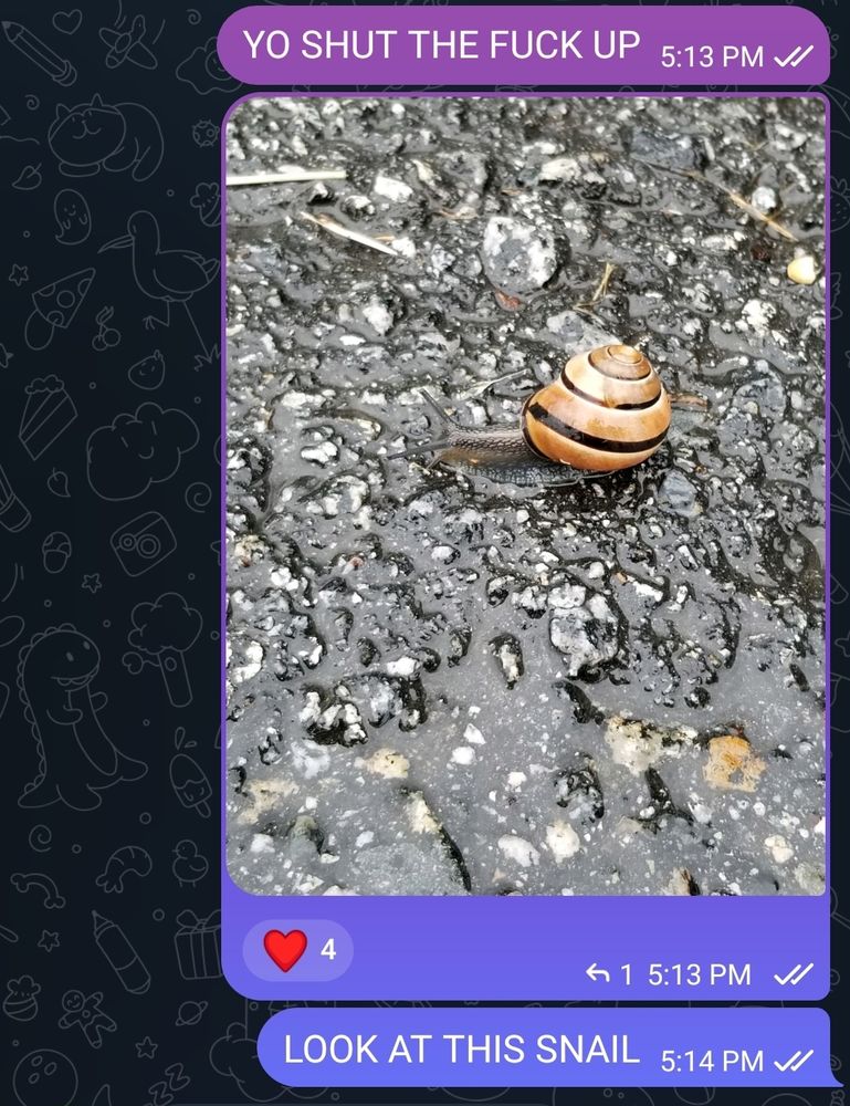 Me enthusiastically showing off a snail I found on a rainy day in a group chat