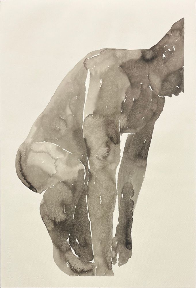 2025, “Baño”, ink on Fabriano paper, 22x15 inches (cropped)