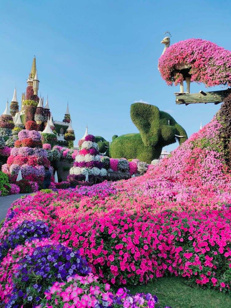 Op de voorgrond een pauw met meterslange staat van roze en paarse petunia's. Op de achtergrond een kasteel gemaakt van bloemen en een olifant van klimop. 