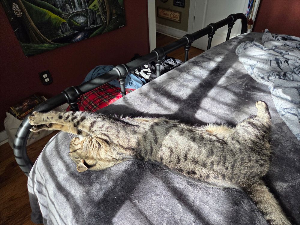 A tabby cat lying on his side on a bed stretching his front oaws out to foot rail. 