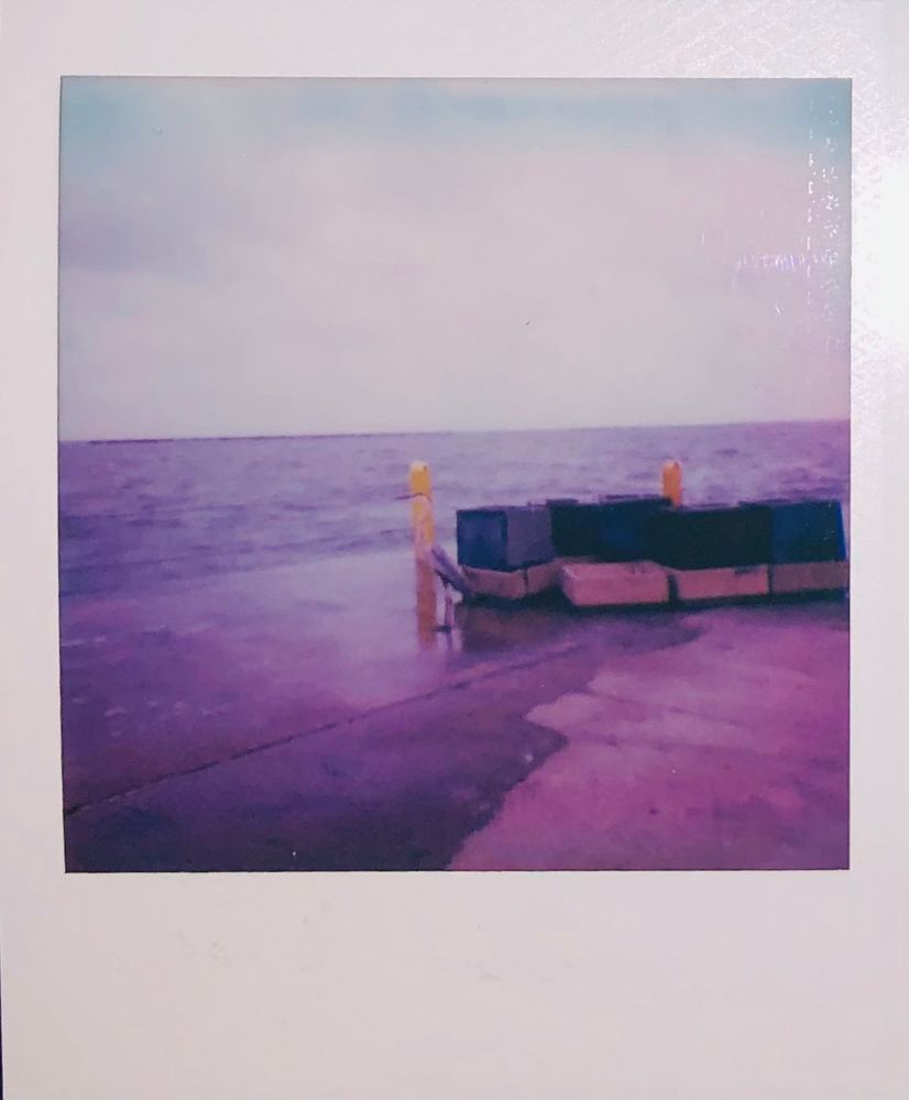 a crane (bird) on the shoreline