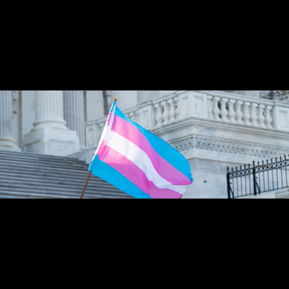 Open letter from parents of trans and gender expansive kids: KOSA would make our kids less safe.