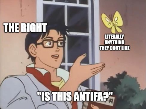 is this a bird meme: THE RIGHT, LITERALLY ANYTHING THEY DON'T LIKE, "IS THIS ANTIFA?"