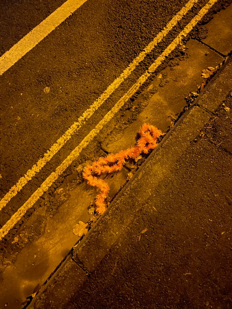 Tinsel dropped on the curbside