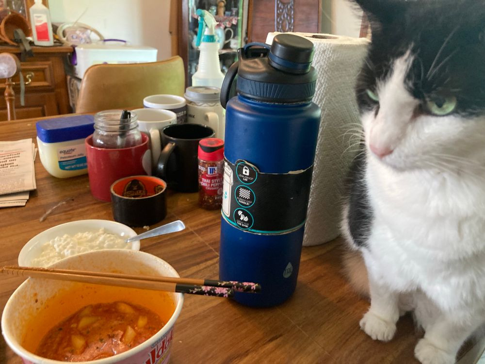 Bowl of instant tteokbokki with a disgruntled tuxedo cat sitting nearby. Nihilia is not happy about the spicy smell.