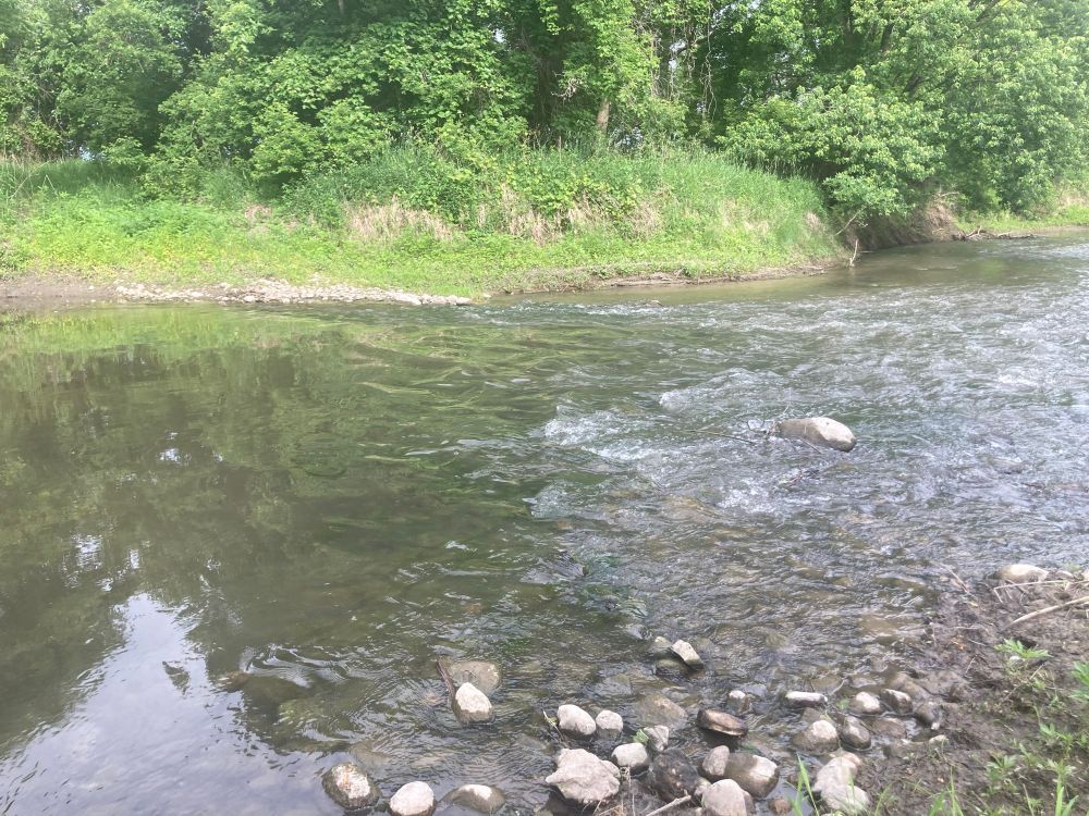 Small, rocky river crossing in MN.