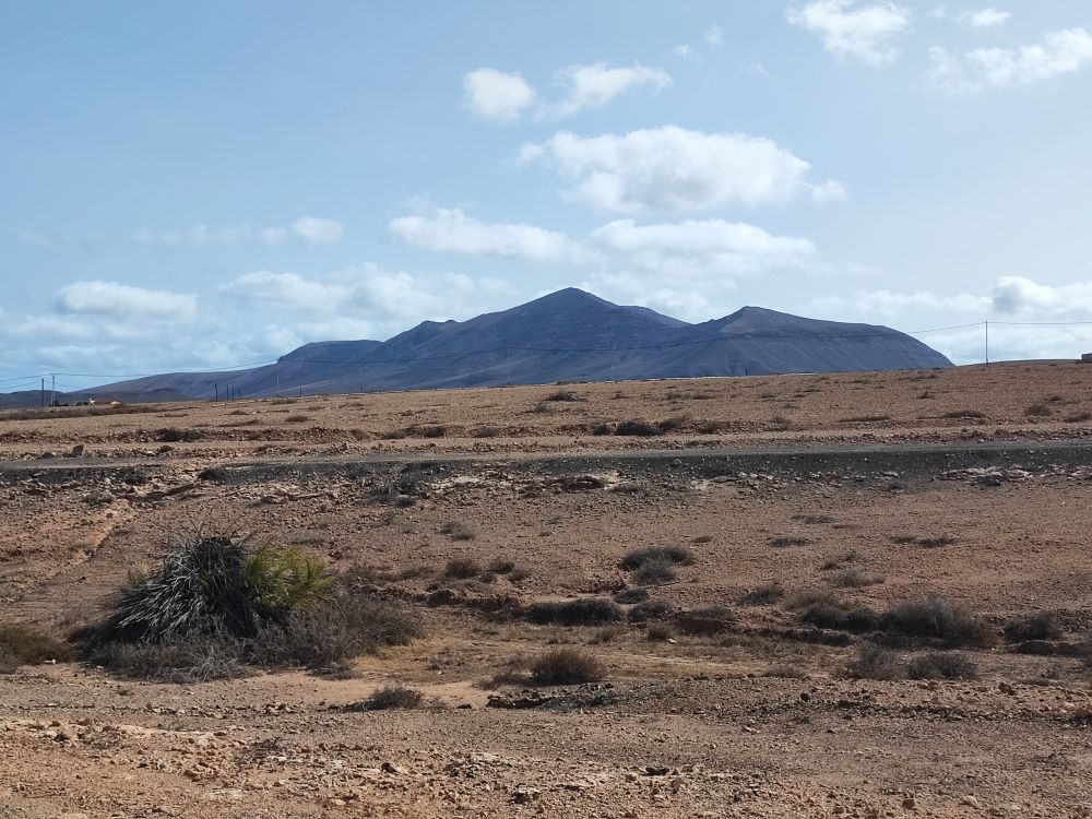 Lavasteinen und Wüstesträucher mit im Hintergrund Bergen.