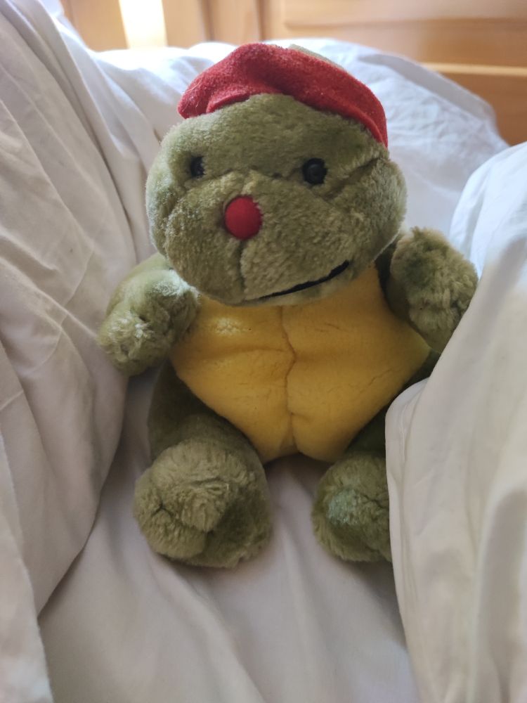 Ein Stofftier mit eine rote Mütze und rote Nase, ein gelben Brauch. Schwarze Augen, grünes Gesicht und grünen Beinen und Armen sitzt auf ein weißen Laken und lehnt sich gegen weißen Kissen.