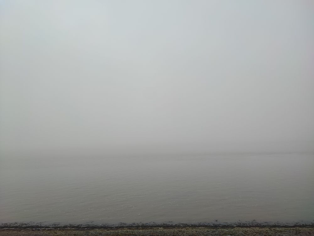 Das Wattenmeer im Nebel.